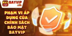 Phạm vi áp dụng của chính sách bảo mật bayvip