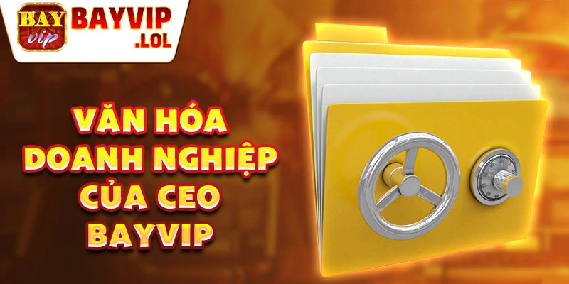 Văn hóa doanh nghiệp của ceo bayvip