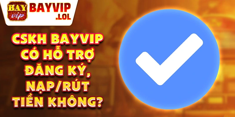 Cskh bayvip có hỗ trợ đăng ký, nạp/rút tiền không?